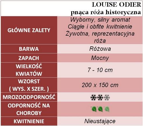 Louise Odier